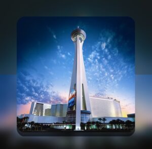 پیشنهاد ویژه پوکر در سایت شرط بندی: چگونه بهترین فرصتها را برای بازی خود رقم میزنید؟